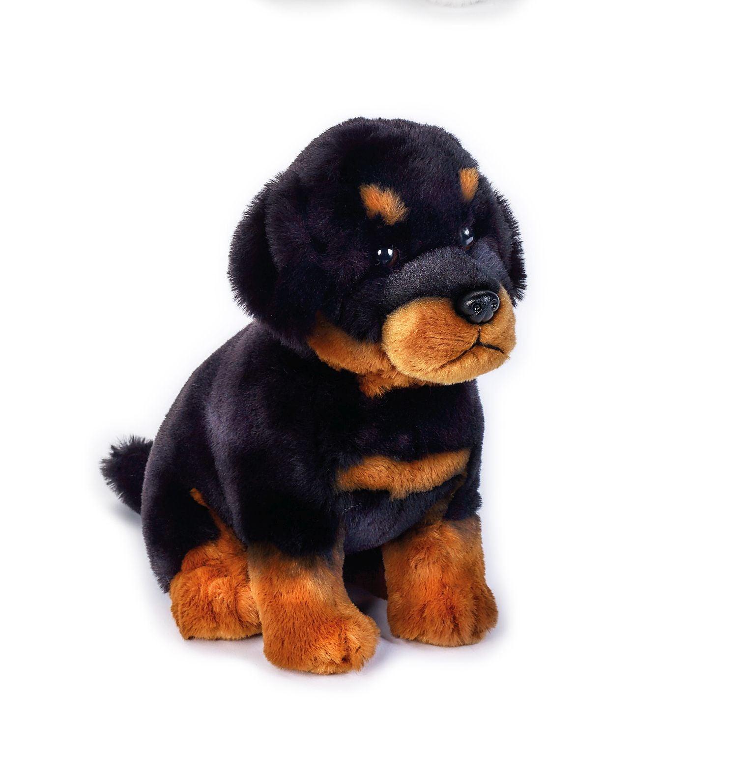 Jucărie copii Catel de plus simpatic 25 cm - Nitzi.ro