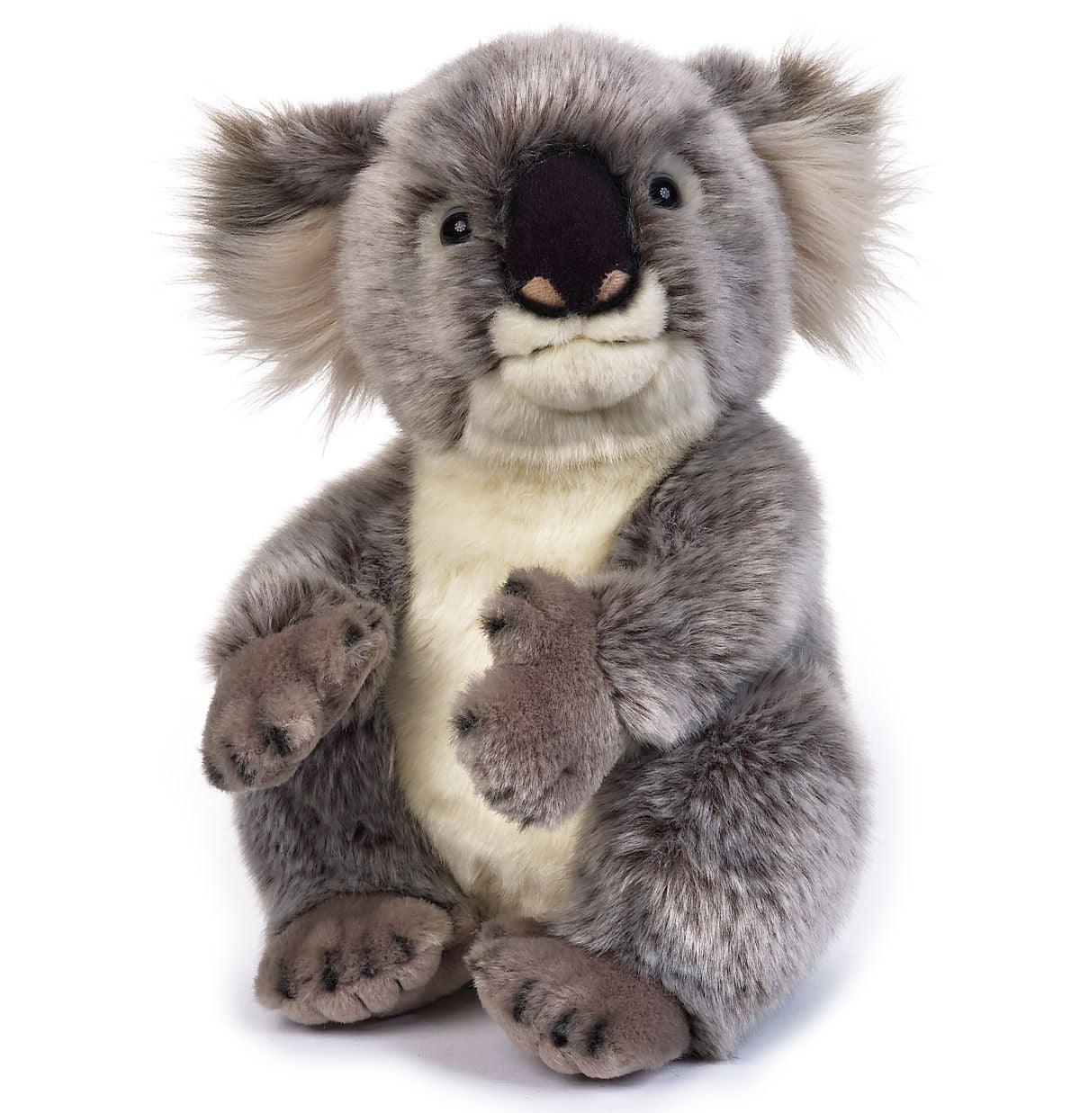 Jucărie copii Koala de plus 25 cm - Nitzi.ro