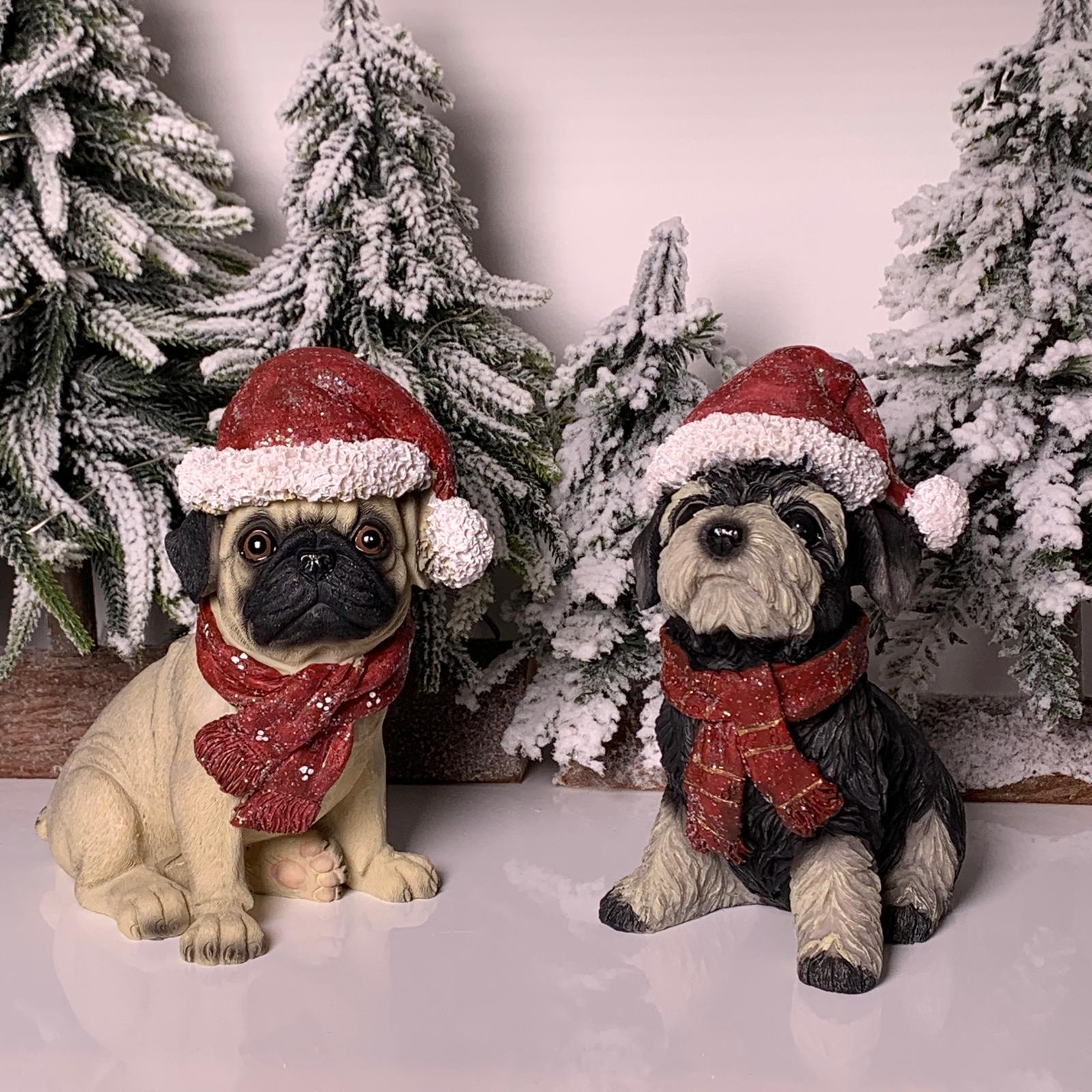 catel decorativ cu caciulita rosie in asteptarea lui Mos Crăciun