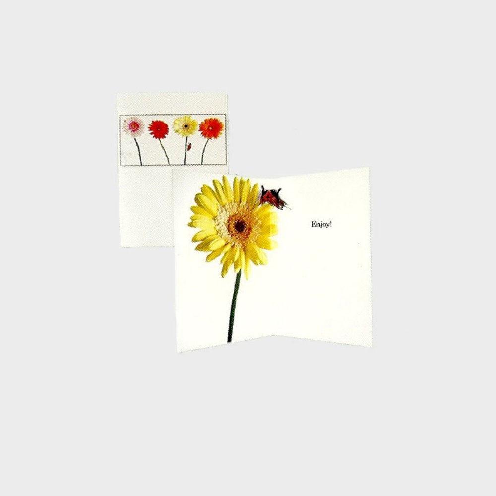 Felicitare 3D Flori Gerbera - Nitzi.ro