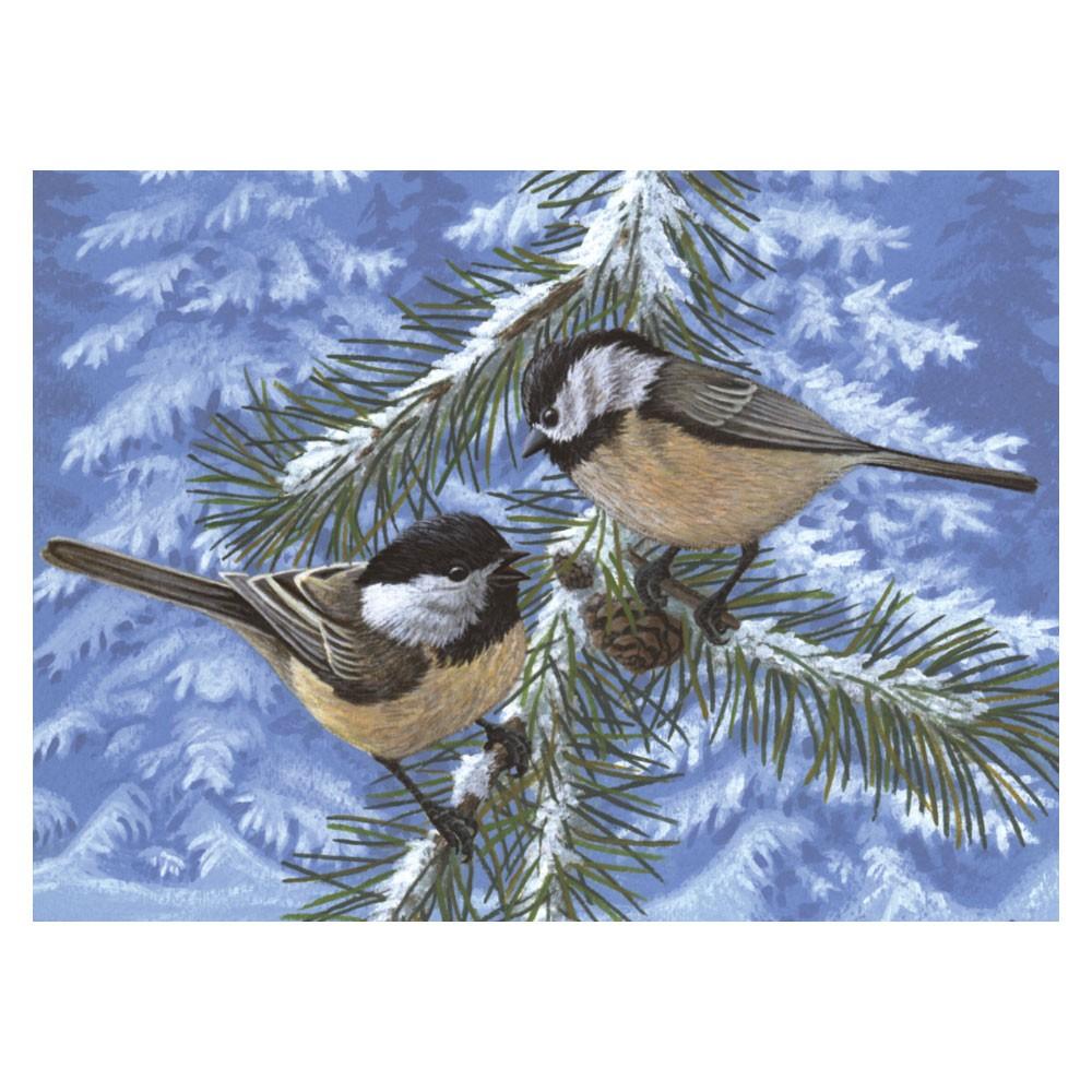 Pictura pe numere Pasarele Carduelis pinus 32x40 cm - Nitzi.ro