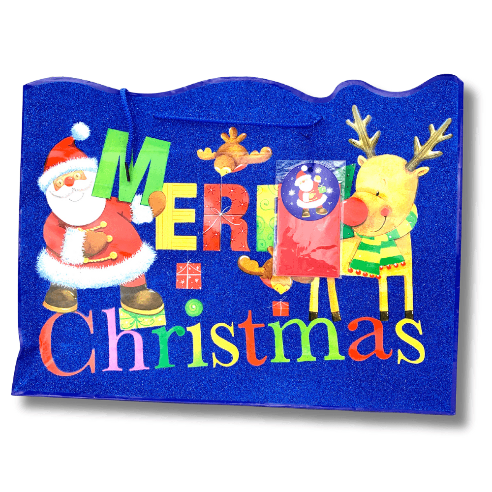 Punga cadou Merry Christmas mare