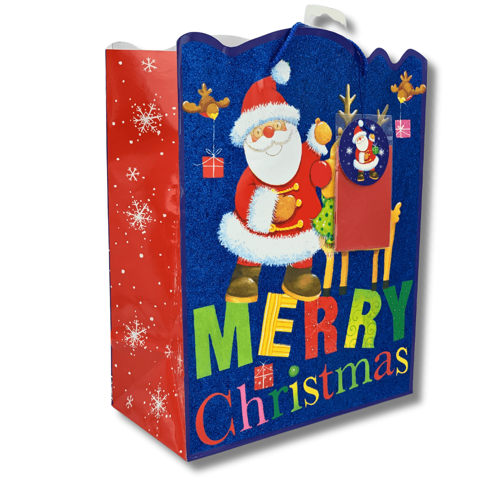 Punga cadou Merry Christmas mare