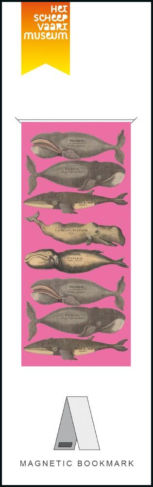 Semn de carte magn. Balene albe - Muzeul Maritim Amsterdam - Nitzi.ro