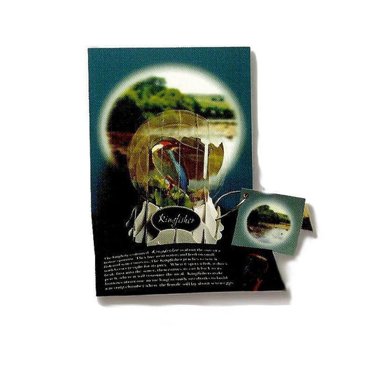 Felicitare 3D tip glob- Pescarus