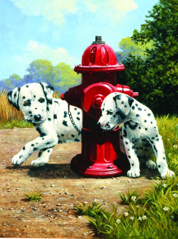 Prima mea pictura pe numere Dalmatieni