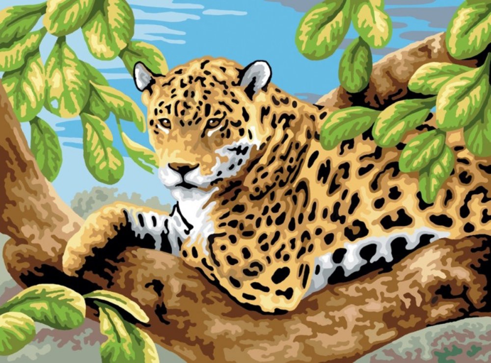 Pictura pe numere juniori - Leopard