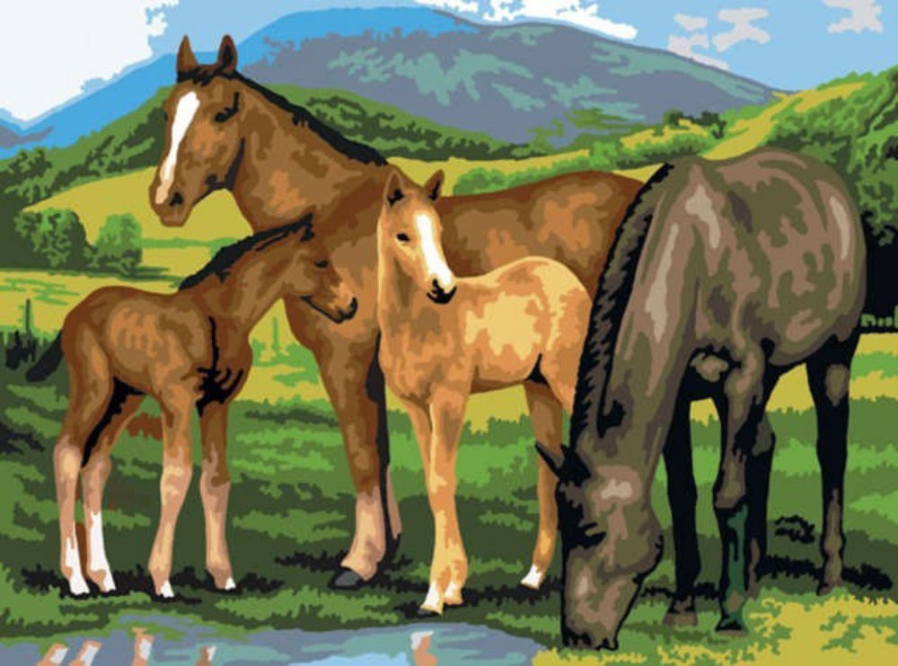 Prima mea pictura pe numere junior mare Cai