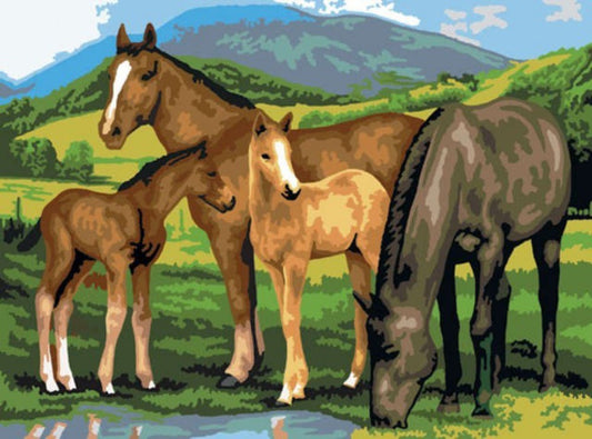 Prima mea pictura pe numere junior mare Cai