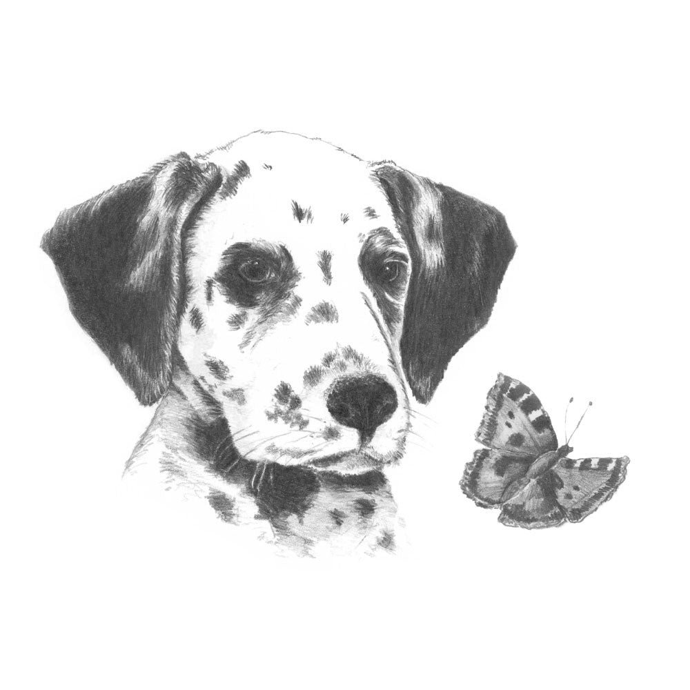 Crochiu incepatori-Dalmatian 13x18 cm