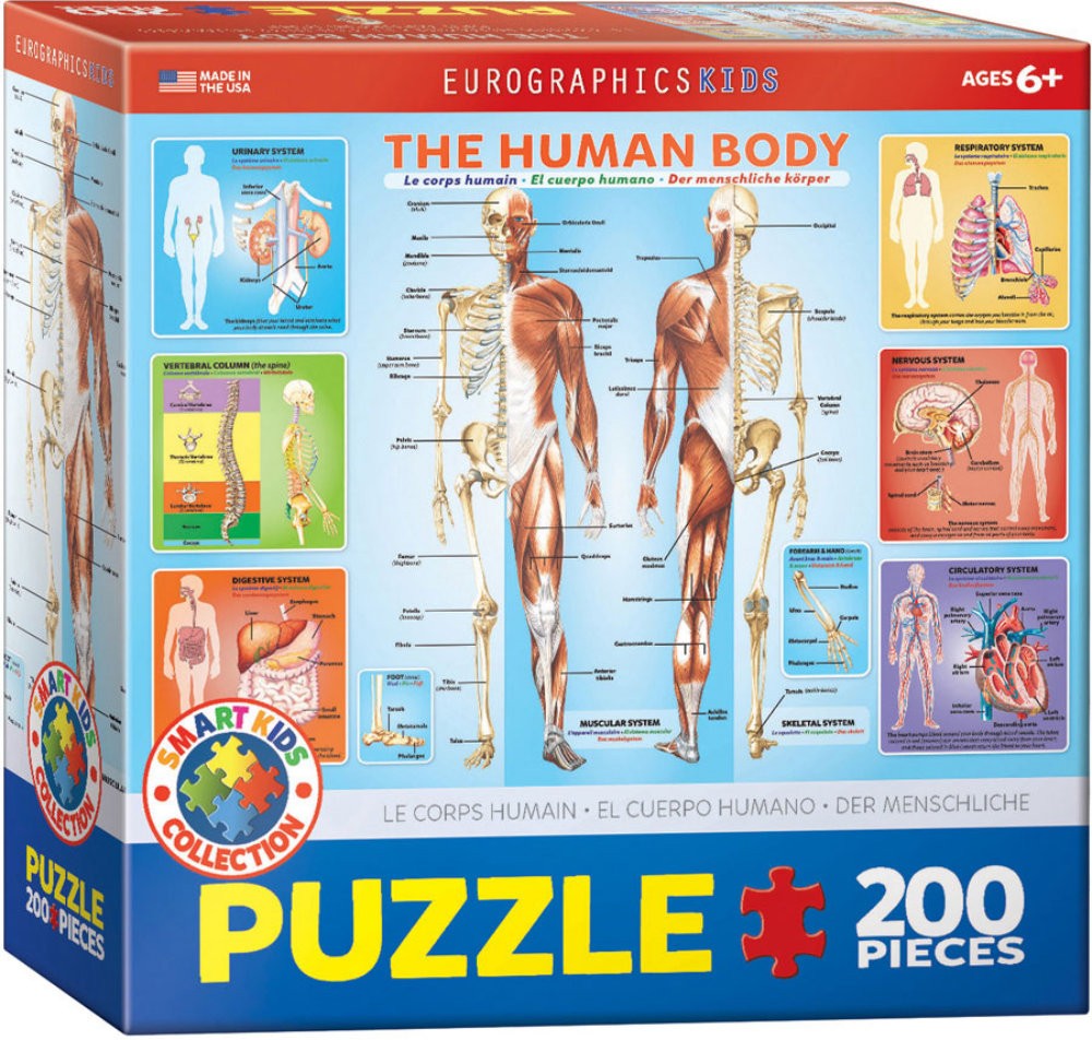 Puzzle 200 piese The Human Body
