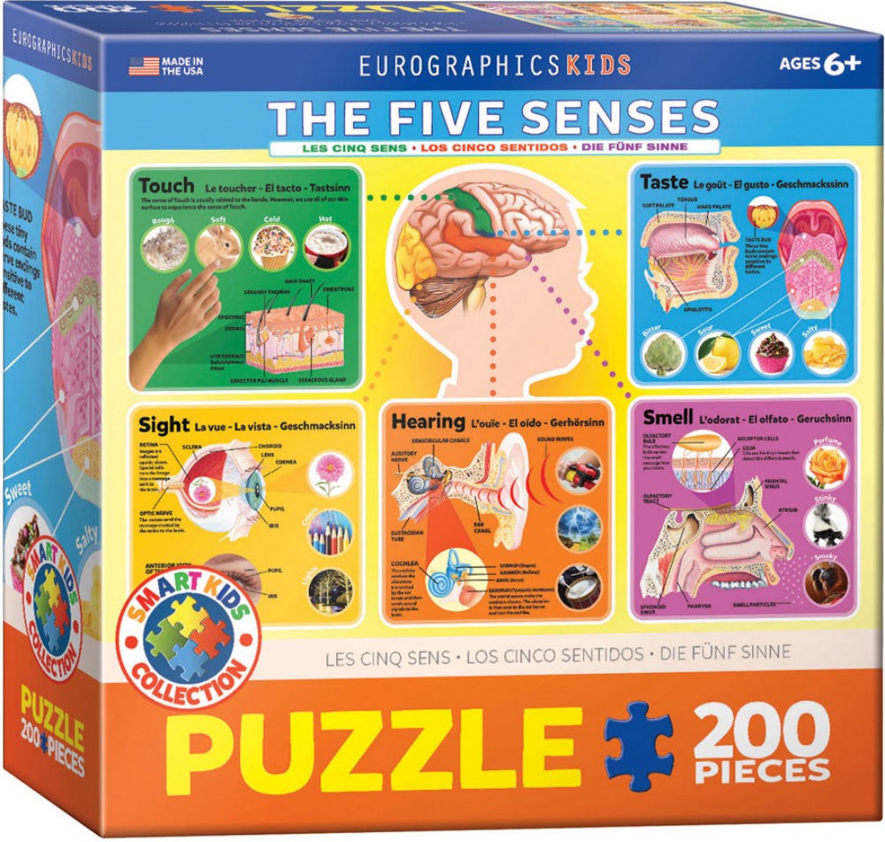 Puzzle 200 piese The Five Senses