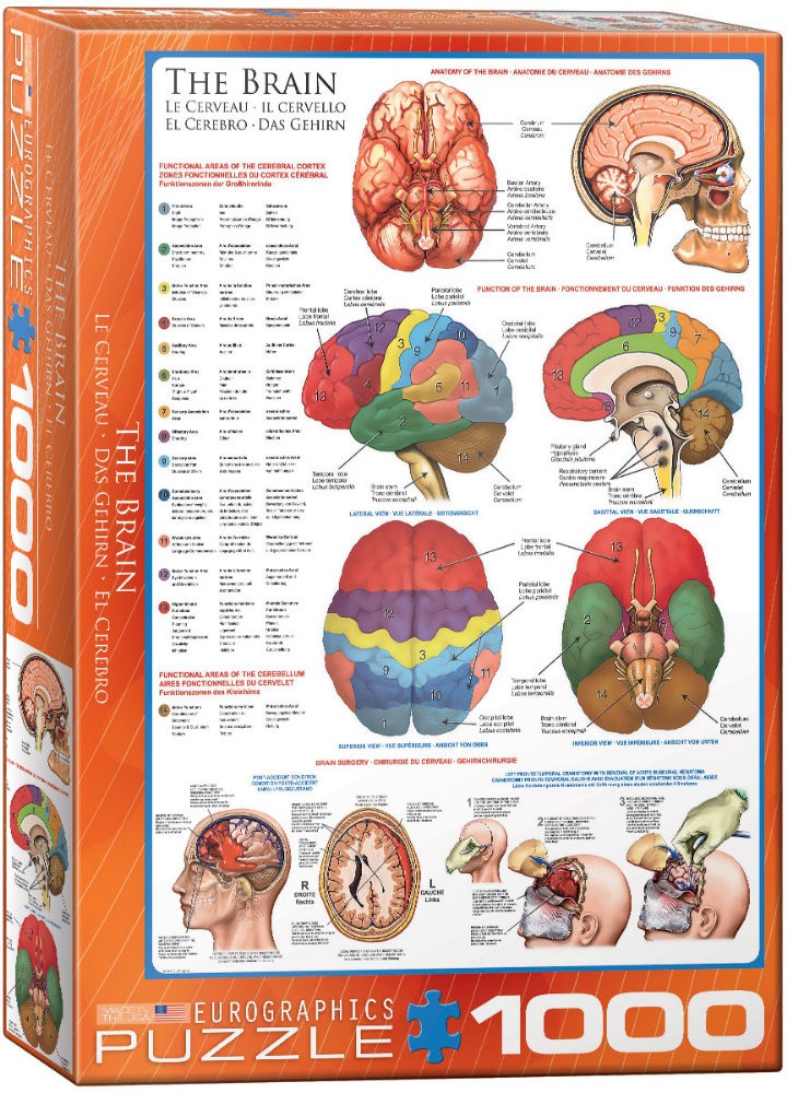 Puzzle 1000 piese The Brain