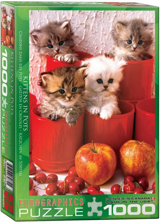 Puzzle 1000 piese Kittens in Pots