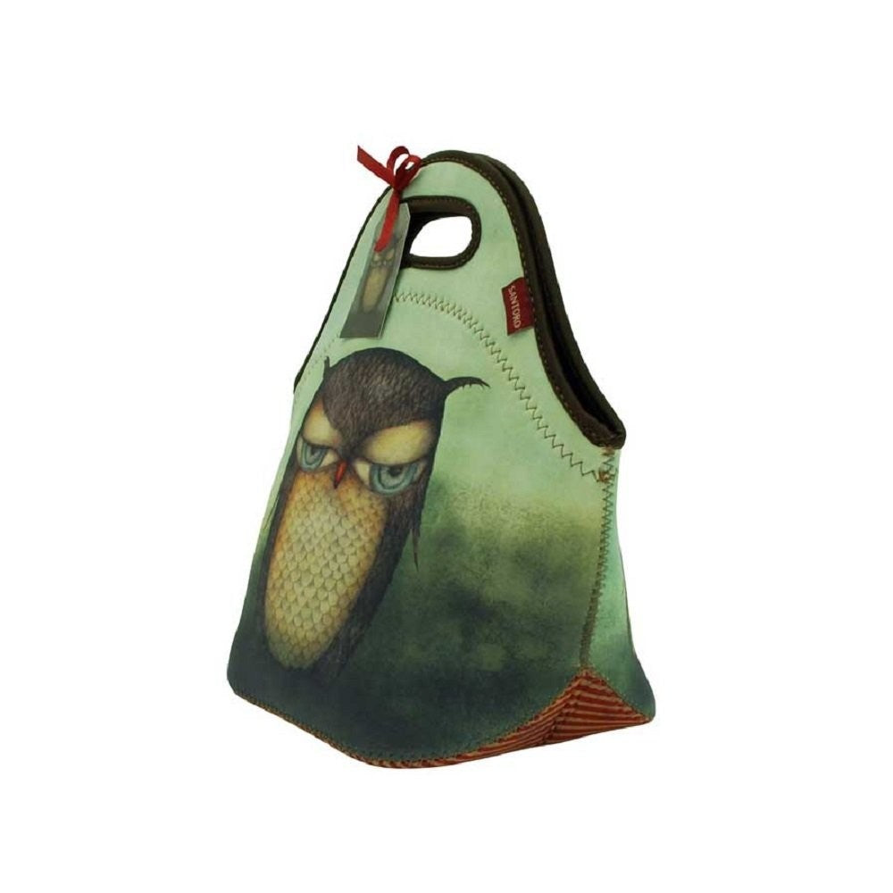 Geanta pentru pranz Grumpy Owl