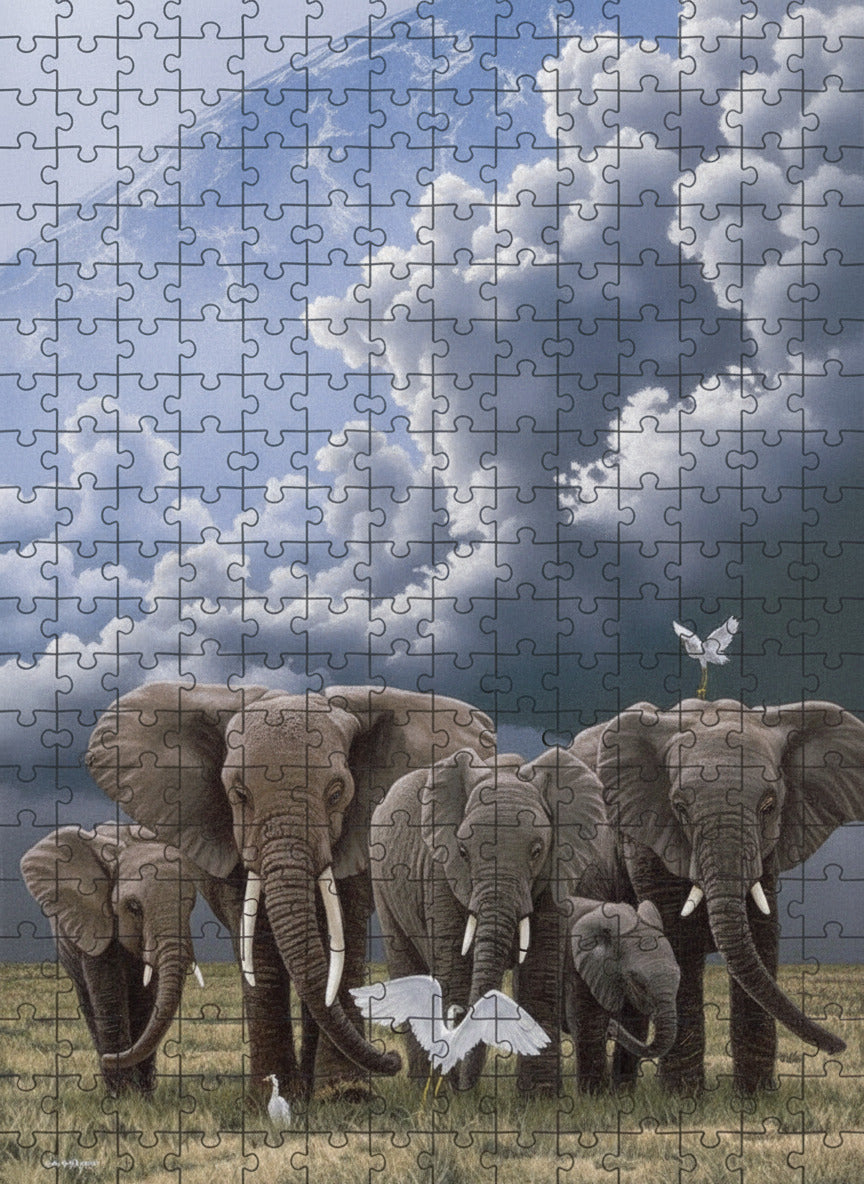 Puzzle Schimmel 1000 piese