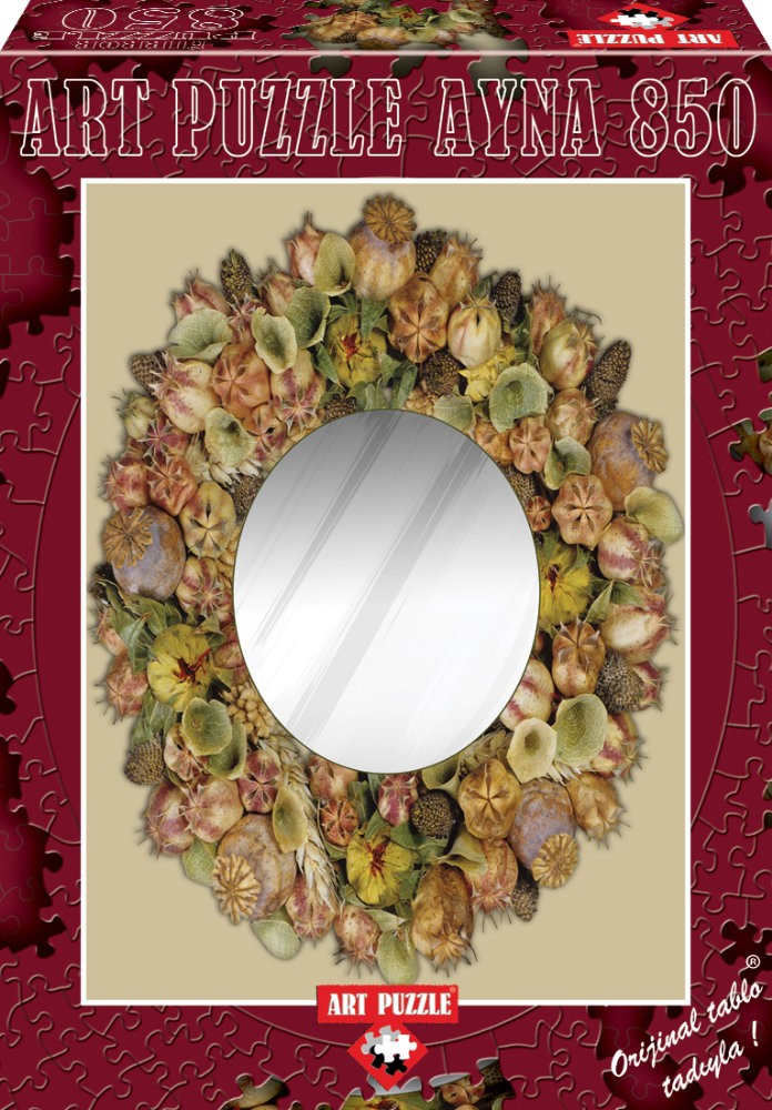 Puzzle cu oglinda, 850 piese - ABUNDANCE