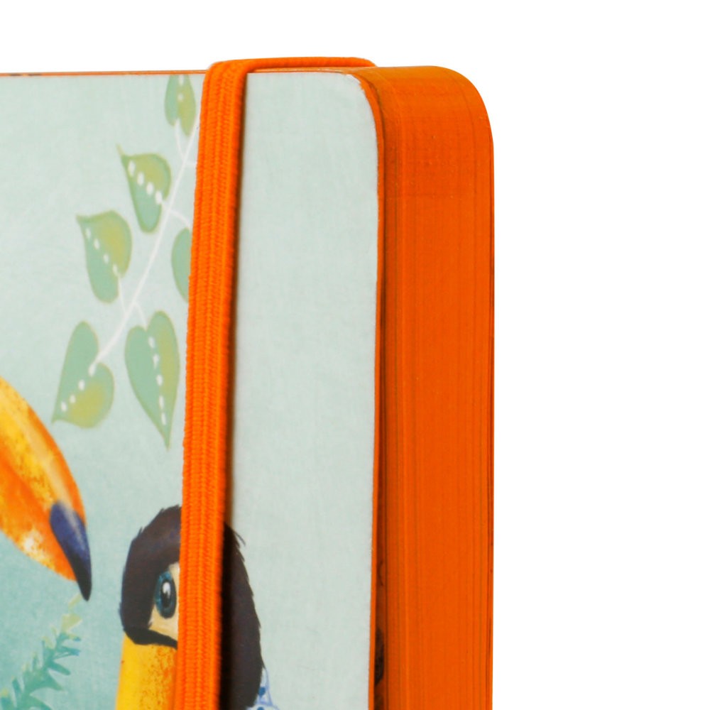 Carnetel Santoro A5 - Toucans