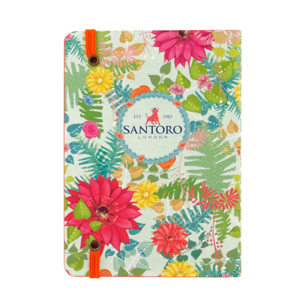 Carnetel A6 Santoro - Toucans