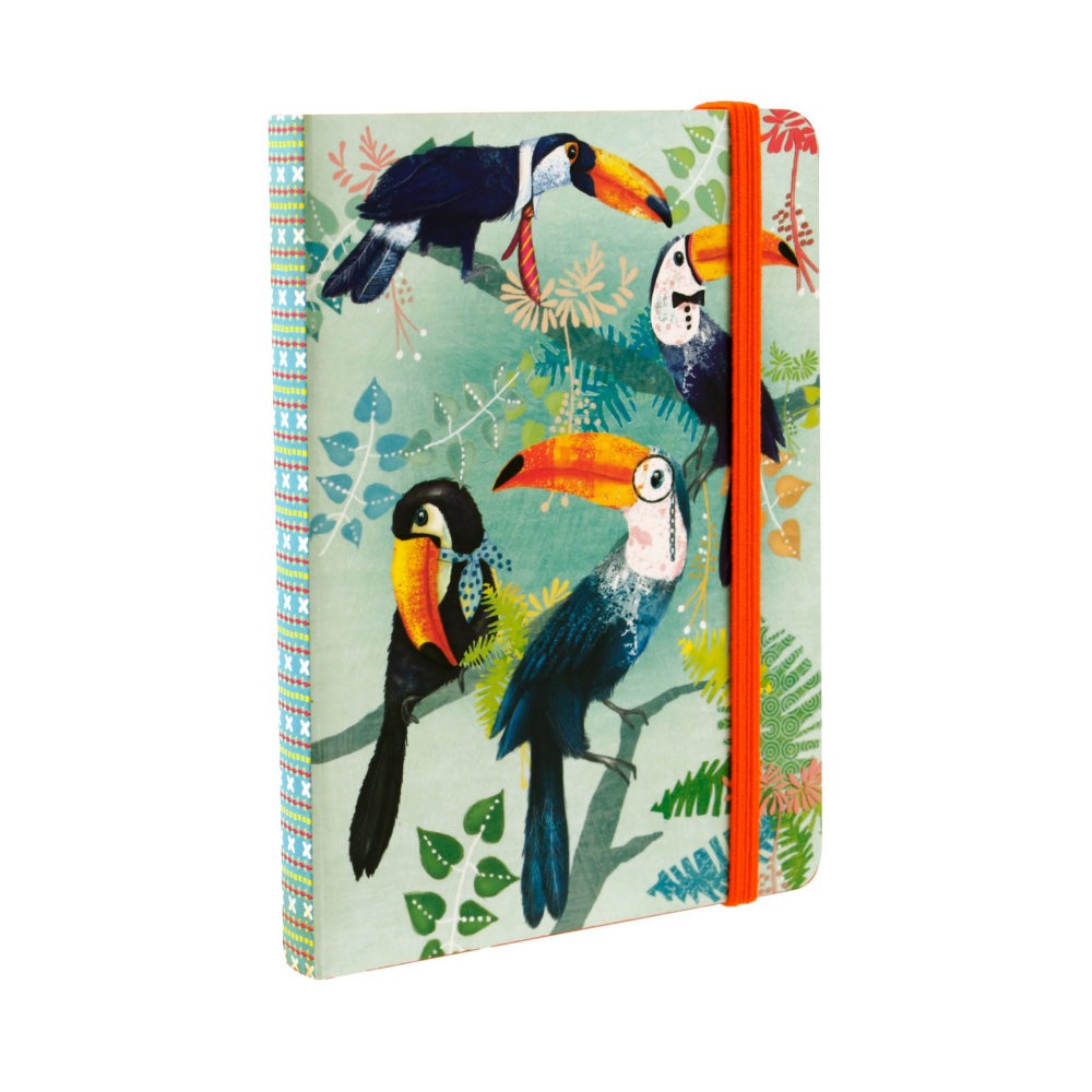 Carnetel A6 Santoro - Toucans