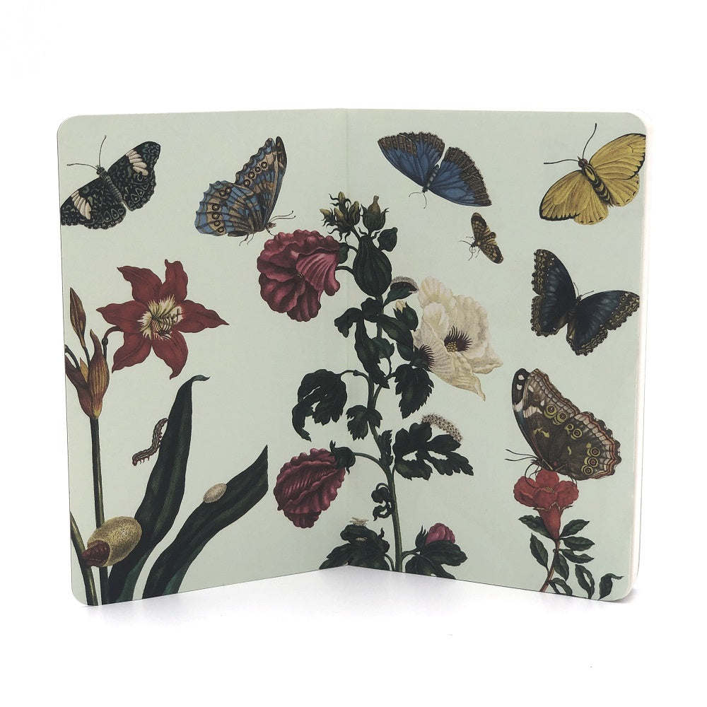 Carnet notite A6 Insecte Maria Sibylla Merian Teyl