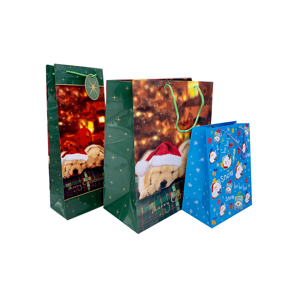 Ambalaje de cadouri iarnă, set cu 3 dimensiuni variate