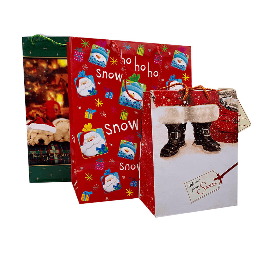 Pungi decorative de iarnă pentru cadouri, set cu dimensiuni variate