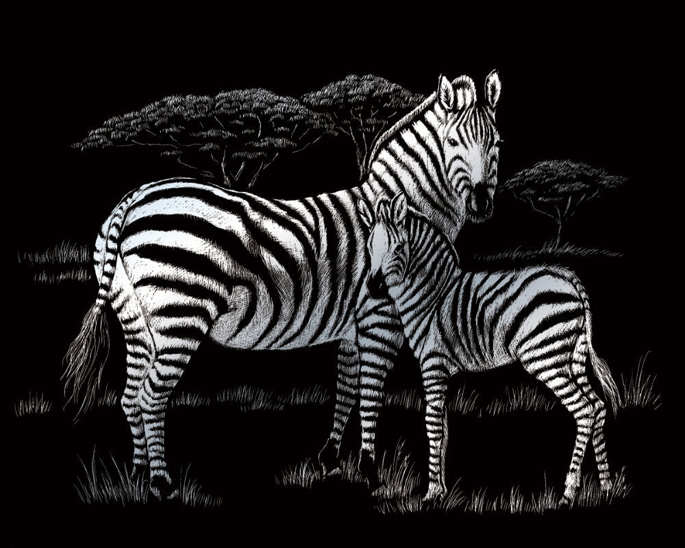Set gravura pe folie argintie Zebra