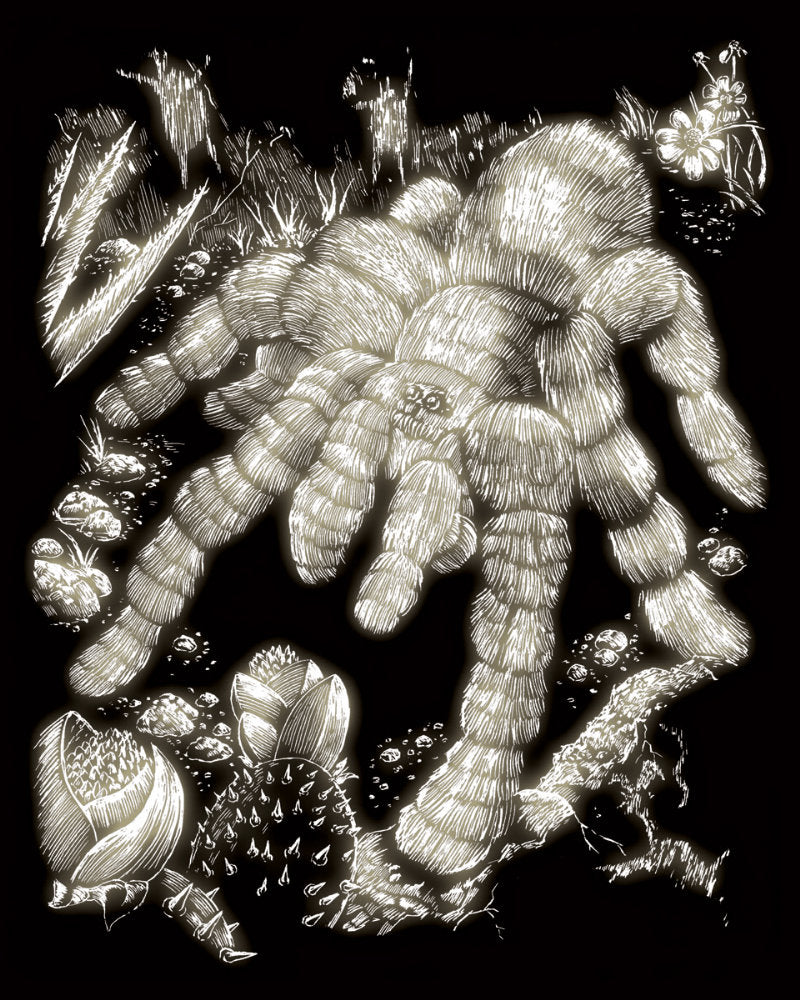 Set gravura pe folie fosforescenta Tarantula