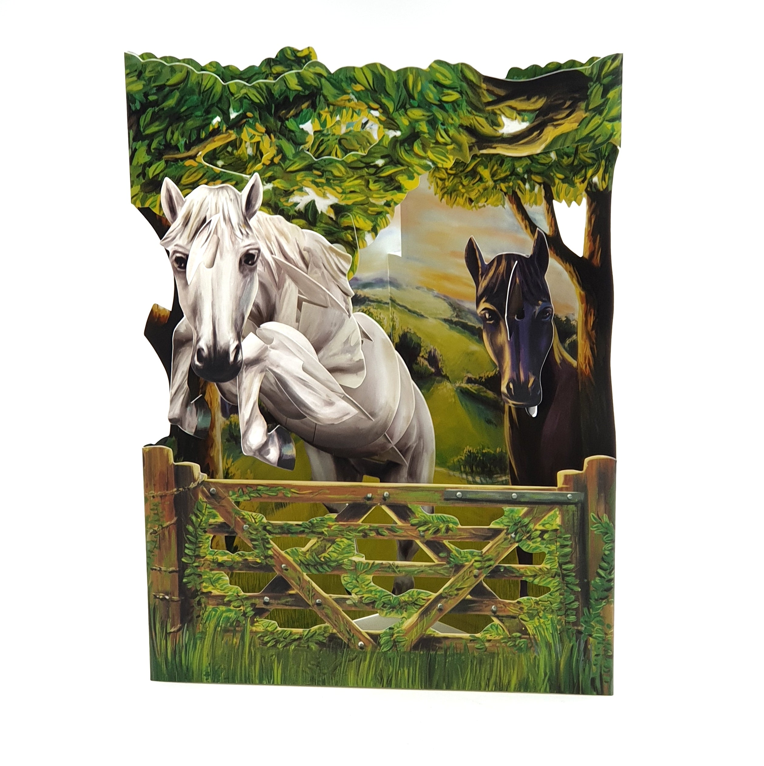 Felicitare 3D Swing Cards Echitatie in aer liber