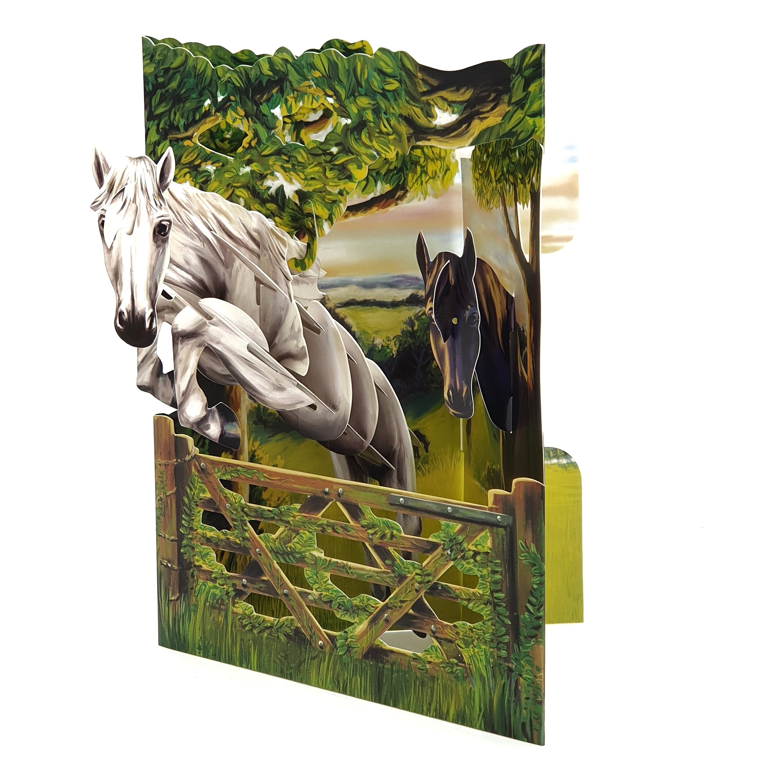 Felicitare 3D Swing Cards Echitatie in aer liber