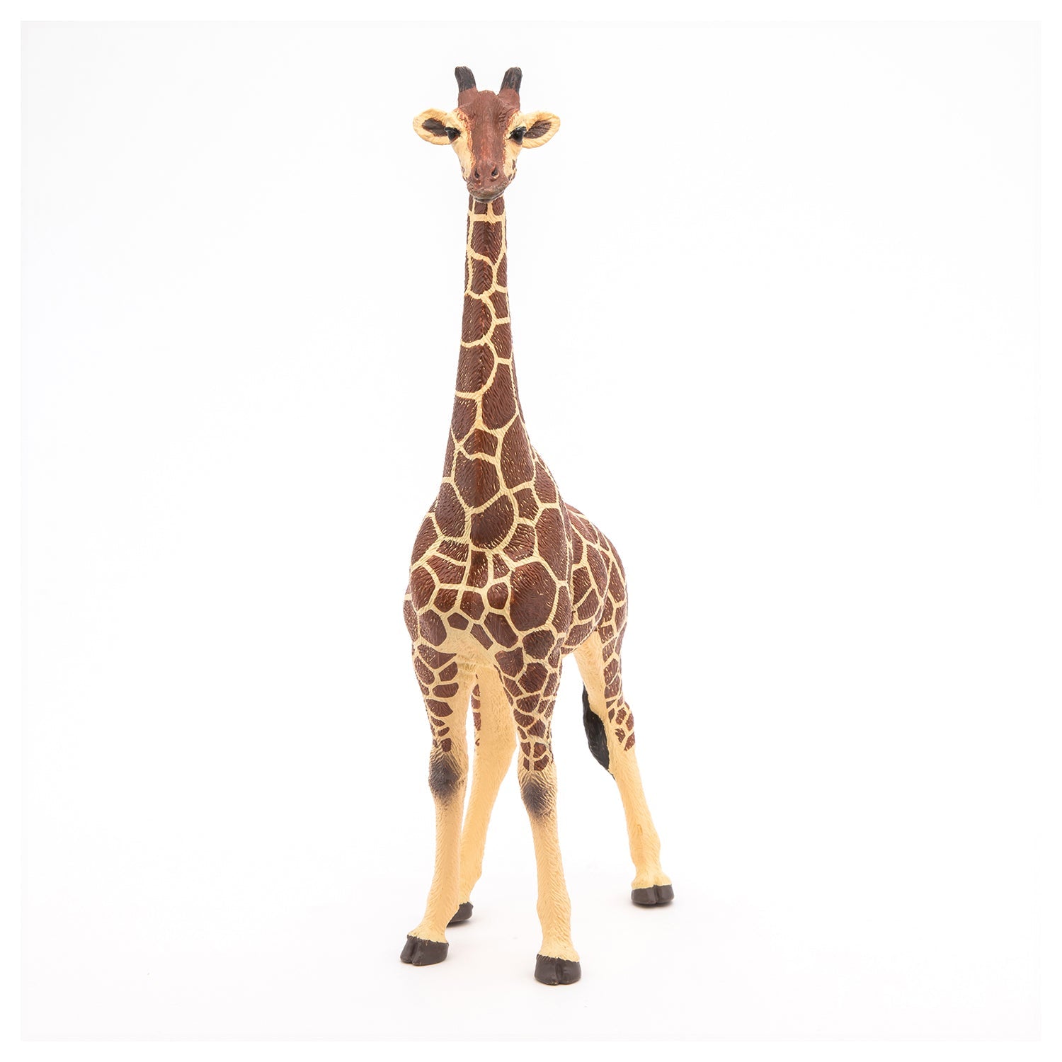 Girafa mascul - Figurina Papo