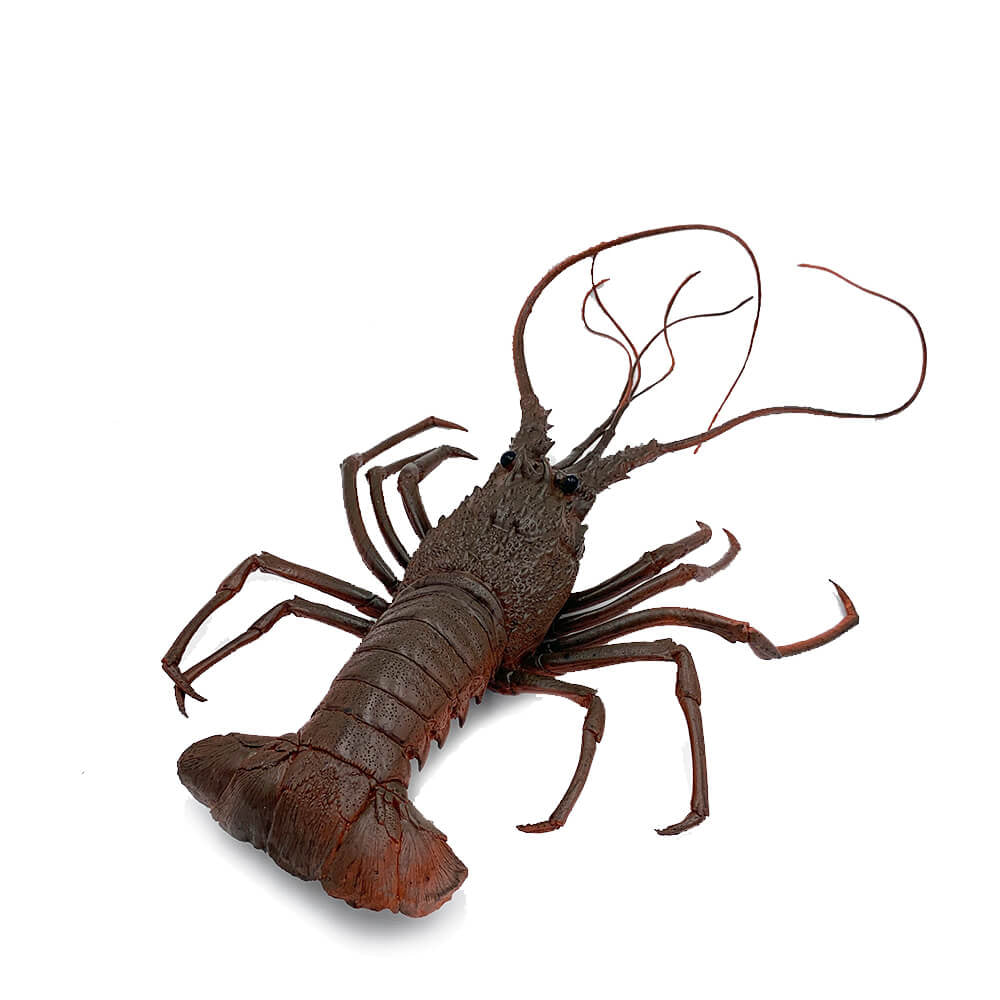 Homar figurina 40 cm