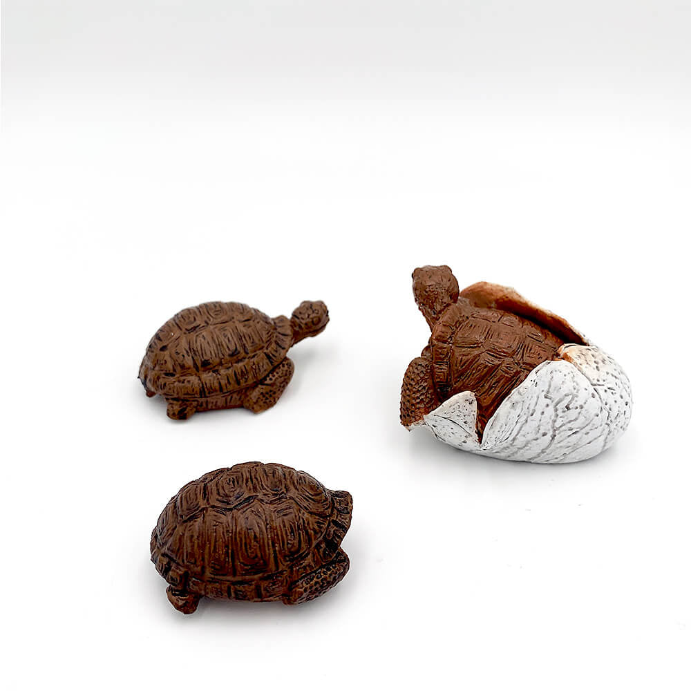 Broasca testoasa pui set 3 figurine