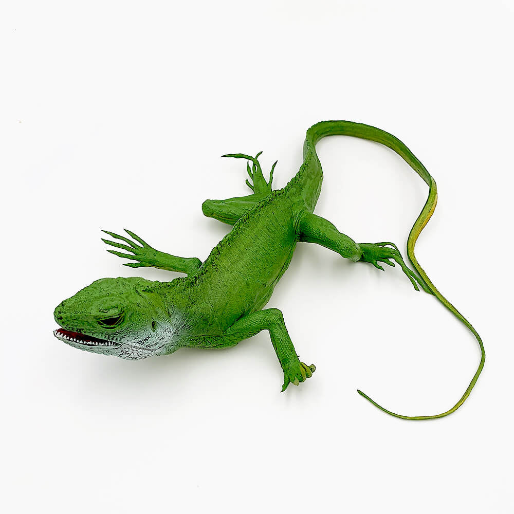 Iguana mare figurina 28 cm