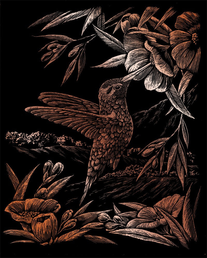 Set gravura pe folie din cupru - Colibri