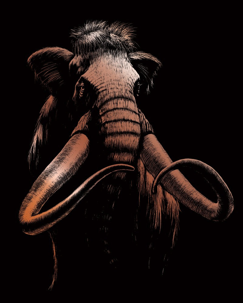 Set gravura pe folie din cupru - Mamut
