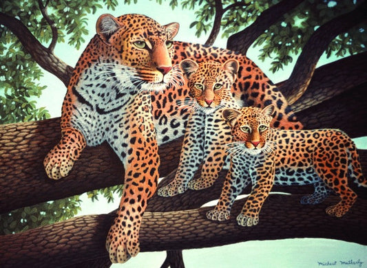 Pictura pe numere juniori - Leopard african