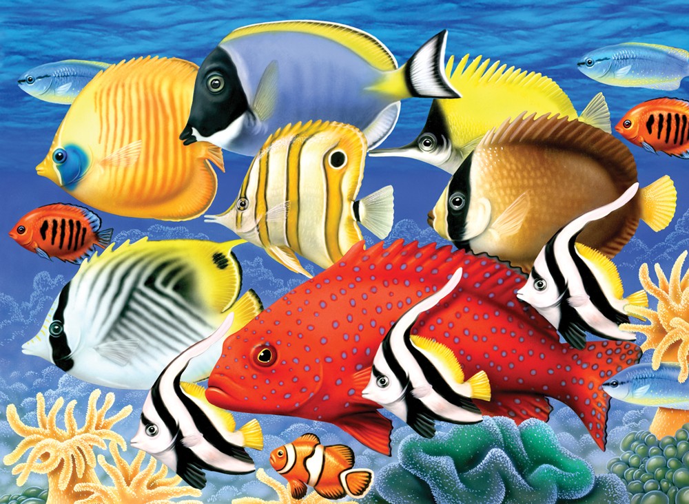 Pictura pe numere juniori - Pesti tropicali