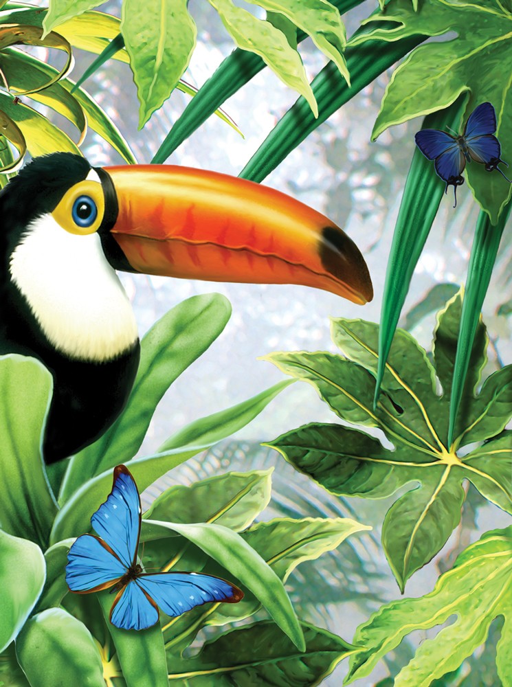 Prima mea pictura pe numere junior mica - Tucan