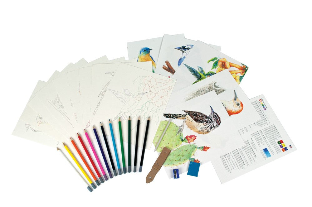 Set creativ educativ - Coloreaza foarte usor pasarile