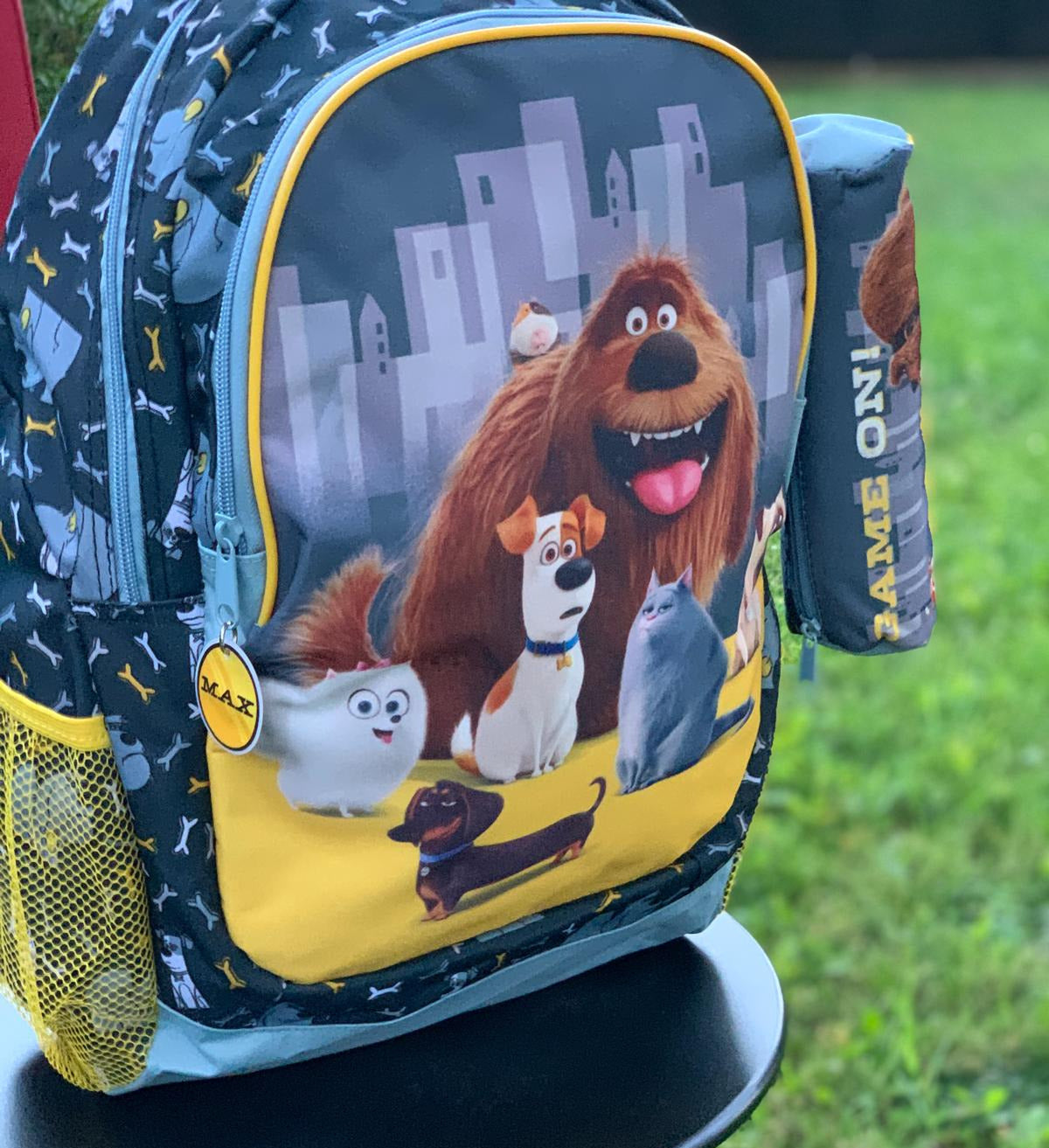 Rucsac pentru scoalar The Secret Life Of Pets