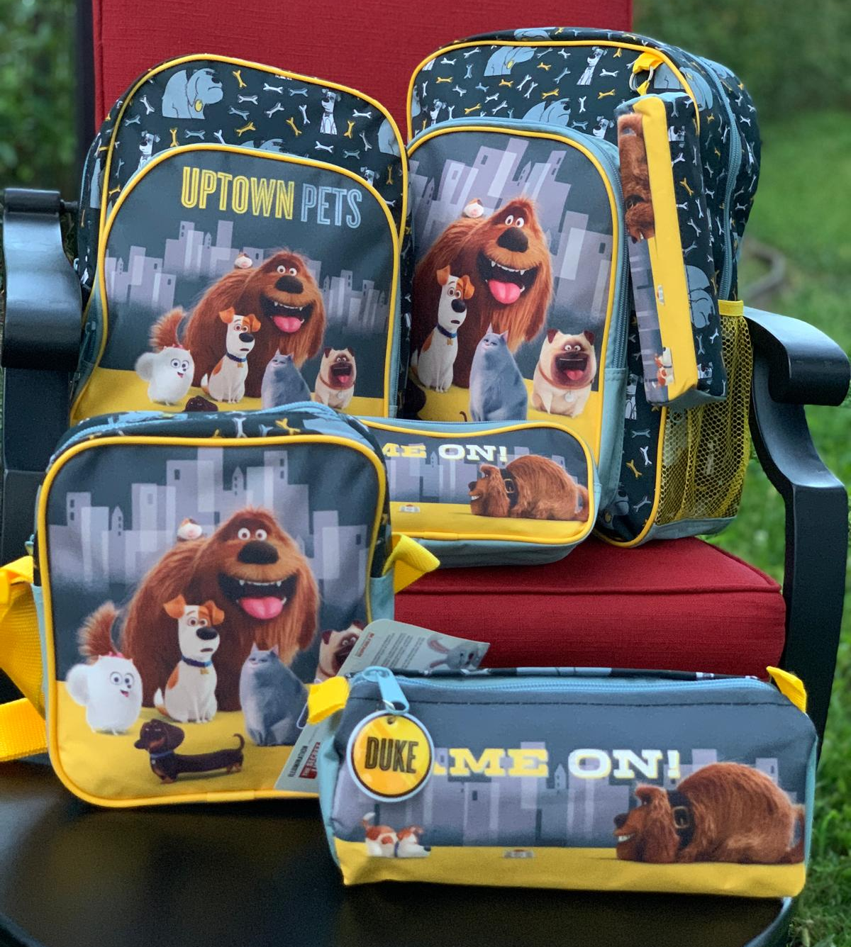 Rucsac pentru scoalar The Secret Life Of Pets