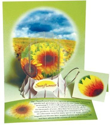 Felicitare 3D glob Floarea soarelui - Nitzi.ro