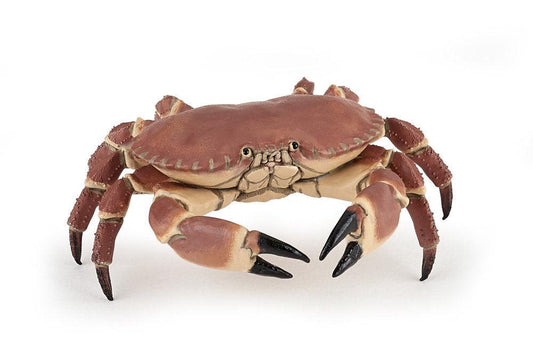Figurina Crab - Nitzi.ro
