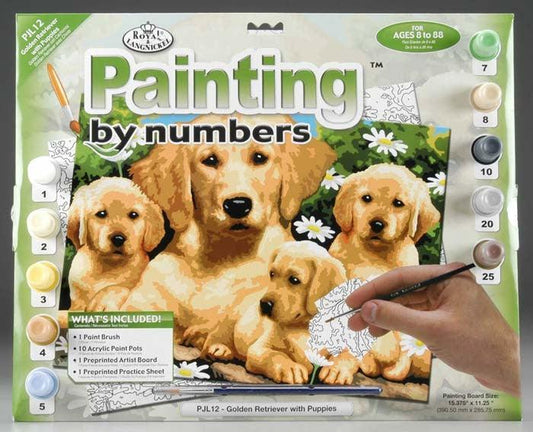 Pictura pe numere Golden Retriever - Nitzi.ro
