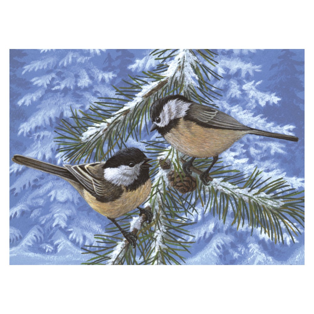 Pictura pe numere Pasarele Carduelis pinus 32x40 cm